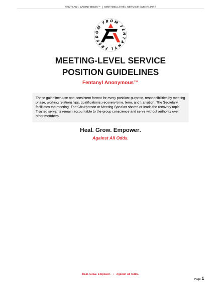 First page of Meeting-Level Service Position Guidelines